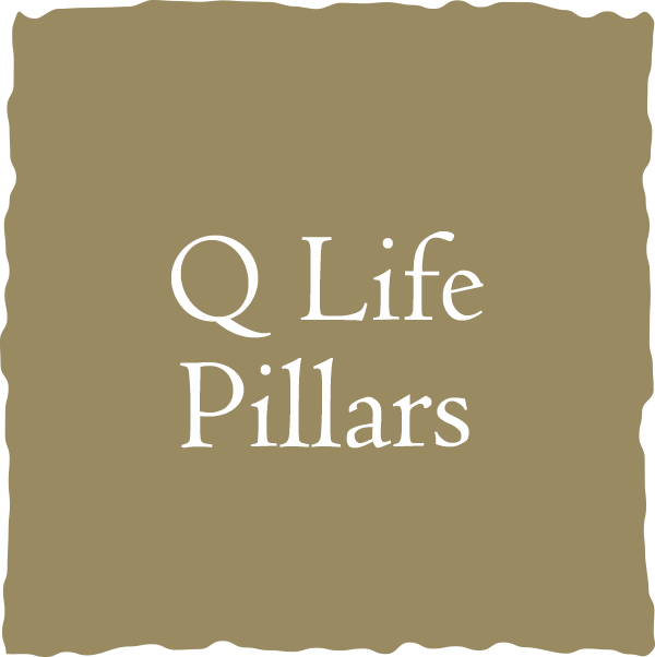 Q life box logo